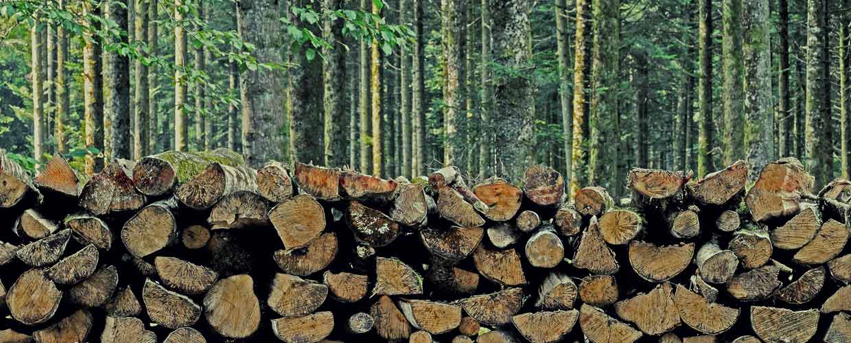 Meuble de salle de bain en bois massif PEFC - Sanijura